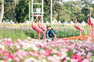 BIB: 
                            <button type="button" onclick="openModal(27344278)" class="btn btn-primary btn-sm float-right btn-popup" data-toggle="modal" data-target=".modal-high-quality">
                        <i class="fas fa-shopping-cart"></i> Add to Cart
                    </button>
                                            <button type="button" onclick="isThisMe(27344278, true)" class="btn btn-success btn-sm float-right btn-popup btn-isme hidden" data-toggle="tooltip" data-placement="bottom" title="นี่คือรูปของคุณใช่ไหม คลิกที่นี่เพื่อเอาเข้าอัลบั้ม">
                        <i class="fas fa-plus"></i> Add to album
                    </button>
                    <button type="button" onclick="isThisMe(27344278, false)" class="btn btn-warning btn-sm float-right btn-popup btn-isnotme hidden">
                        <i class="fas fa-ban"></i> Remove from album
                    </button>